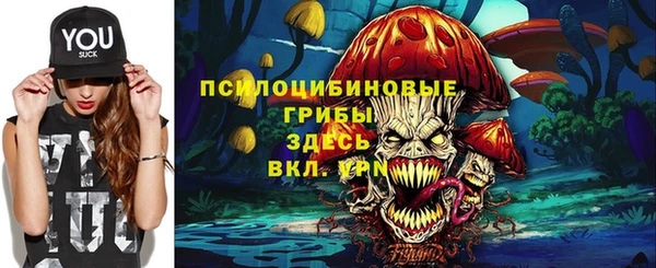 бошки Зеленодольск