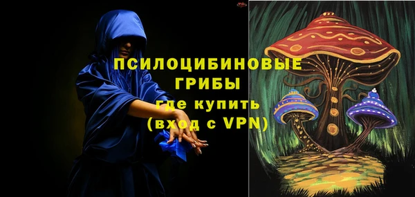 бошки Зеленодольск