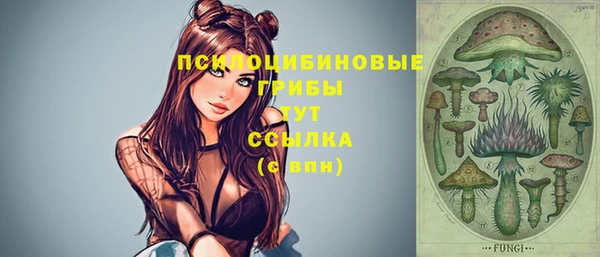 бошки Зеленодольск